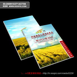 專業PSD建筑陶瓷行業畫冊設計 素材、模板與廣告設計要點